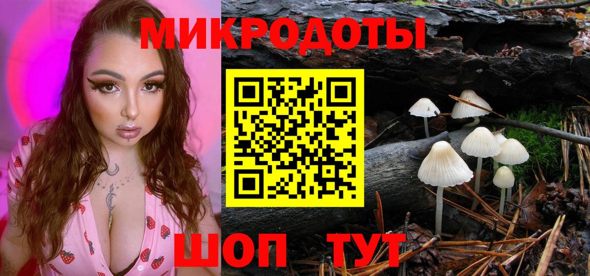 дарнет шоп  Галлюциногенные грибы прущие грибы  Норильск  Вход с VPN  Галлюциногенные грибы Magic Shrooms 