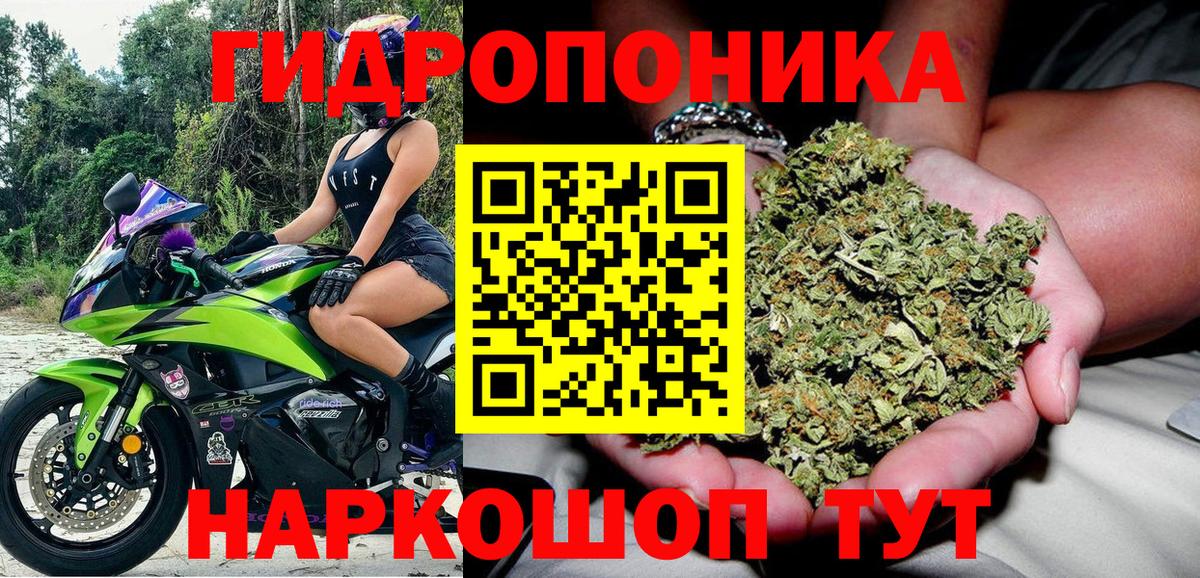 МАРИХУАНА VHQ  Конопля Bruce Banner  Вход с VPN  Норильск  МАРИХУАНА ГИДРОПОН 